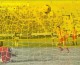 83-2bucuklular